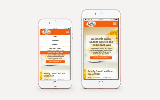 Rajbhog Foods website design - mobile view
